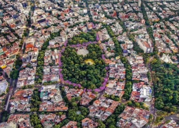 Bed and breakfast Depa Condesa 3*